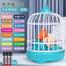 Electric Chirping Birds Birdcage Voice Control Toys For Kids - Multicolor image