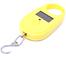 Electric Portable Scale - Assorted image