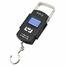 Electric Portable Scale - Black image