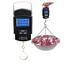 Electric Portable Scale - Black image