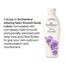 Enchanteur Alluring Perfumed Body Lotion 250ml image
