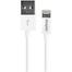 Energizer Lightning EU Charger With Lightning Cable image