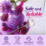 Eqqualberry Bakuchiol Plumping Serum 30 ml image