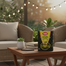FINIS Black Booster Mosquito Coil- 1 Box image