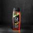Fa Men Amazonia Spirit Shower Gel 250 ml image