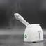 Facial Steamer, Facial Steamer, Humidifier, Beauty Spa Personal Skin Care Face Care Face Steamer Reduces Enlarged Pores Green (Any Colour) image