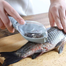 Fish Scarping Tools 1 Pcs image