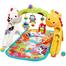 Fisher Price CCB70 NewbornTO Toddler GYM image