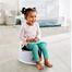 Fisher Price Penguin Potty image