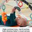 Fisher Price 3-In-1 Music, Glow And Grow Gym image