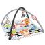 Fisher Price 3-In-1 Music, Glow And Grow Gym image