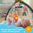 Fisher Price 3-In-1 Music, Glow And Grow Gym image