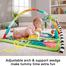 Fisher-Price HJW08 3-in-1 Rainforest Sensory Gym image
