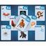 Flash Cards Set - Alphabet (Bangla, English, Arabic), Numbers, and Shapes image