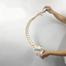 Flexible Human Spinal Column with Femur Vertebral Lumbar Curve Anatomical Model image