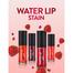 Flormar Water Lip Stain 002 Love Craft image