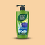 Follow Me Green Tea Scalp Fresh Shampoo – 650ml image