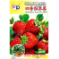 Four Seasons Strawberry Seeds Re-Pack - 0.1gm image