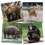 Frank Animal Puzzles For Kids In The Zoo Set Of 4 Jigsaw Puzzles For Kids For Age 4 Years Old And Above Educational And Fun Kids Puzzle image
