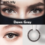 Freshlady Dawn Gray Color Contact Lenses image
