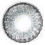 Freshlook Sterling Gray Color Contact Lens image