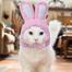Funny Cat Headgear Cute Rabbit Ears Cap Warm Plush Ears Cat Accessories Hat image