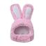 Funny Cat Headgear Cute Rabbit Ears Cap Warm Plush Ears Cat Accessories Hat image