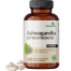 Futurebiotics Ashwagandha Extra Strength Stress and Mood Support With Bio Perine 100 Vegetarian Capsules -523556048 image