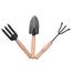 Garden Tools (3 Pcs Mini Set-one shovel, one trident fork, one rake) image