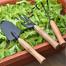 Garden Tools (3 Pcs Mini Set-one shovel, one trident fork, one rake) image