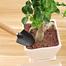 Garden Tools (3 Pcs Mini Set-one shovel, one trident fork, one rake) image