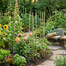 Gardening Stick Top Plant Roof Garden Tools 5 Pcs image