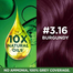 Garnier Color Naturals 3.16 Burgundy 70ml Plus 60 gm image
