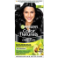 Garnier Color Naturals Nourishing Permanent Hair Color 1 Natural Black 70ml INDIAN image
