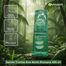 Garnier Fructis Aloe Hydra Bomb Shampoo 400 ml image