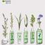 Garnier Purifying Thyme Perfecting Toner 150 ml image