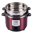 Gazi SRC-28P 2P Smiss Rice Cooker image