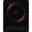 Gazi Smiss Induction Cooker ALP-DC 91 image