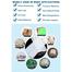 Glue Stick for 20watt Gun (Thin) 10pcs - white image