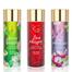 Golden Rose Body Lotion- 250 ml image