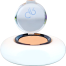 #06