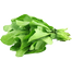 Green Giant Spinach Re-Pack (Imported) - 300 Seeds image