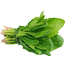 Green Giant Spinach Re-Pack (Imported) - 300 Seeds image