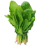 Green Giant Spinach Re-Pack (Imported) - 300 Seeds image