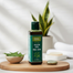 Green Harvest Neam Oil (100 ml)- GHEO5014 image