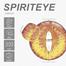 HAlloween Exclusive Spirite Eye Color Contact Lens image