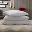 Hometex Elegance Feather Pillow 50 Percet-50 Percent - FPP1001 image