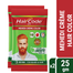 HairCode Egypt Mehedi Crème color (Hair Beard) Pack of 2 (25gmX 2) image