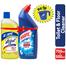 Harpic Toilet And Lizol Citrus Double Surokkha Free Mug image