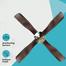 Havells 53 Inch Yorker - Antique Copper image